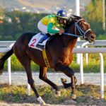 Where To Find The Best Horse Racing Tips Online