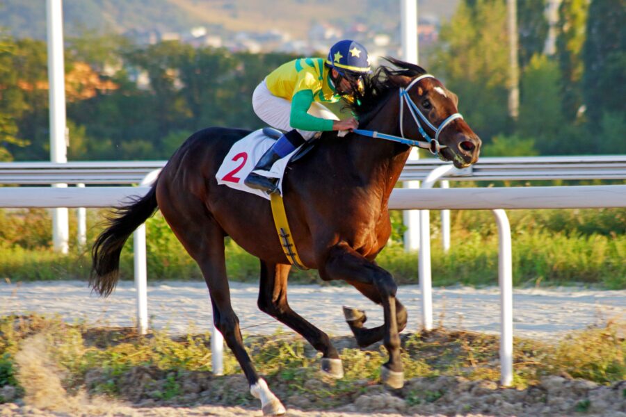 Where To Find The Best Horse Racing Tips Online Where To Find The Best Horse Racing Tips Online