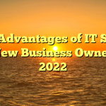The Advantages of IT Setup for New Business Owners in 2022
