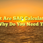 What Are SAP Calculations and Why Do You Need Them?