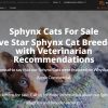 Sphynx Cat Cost